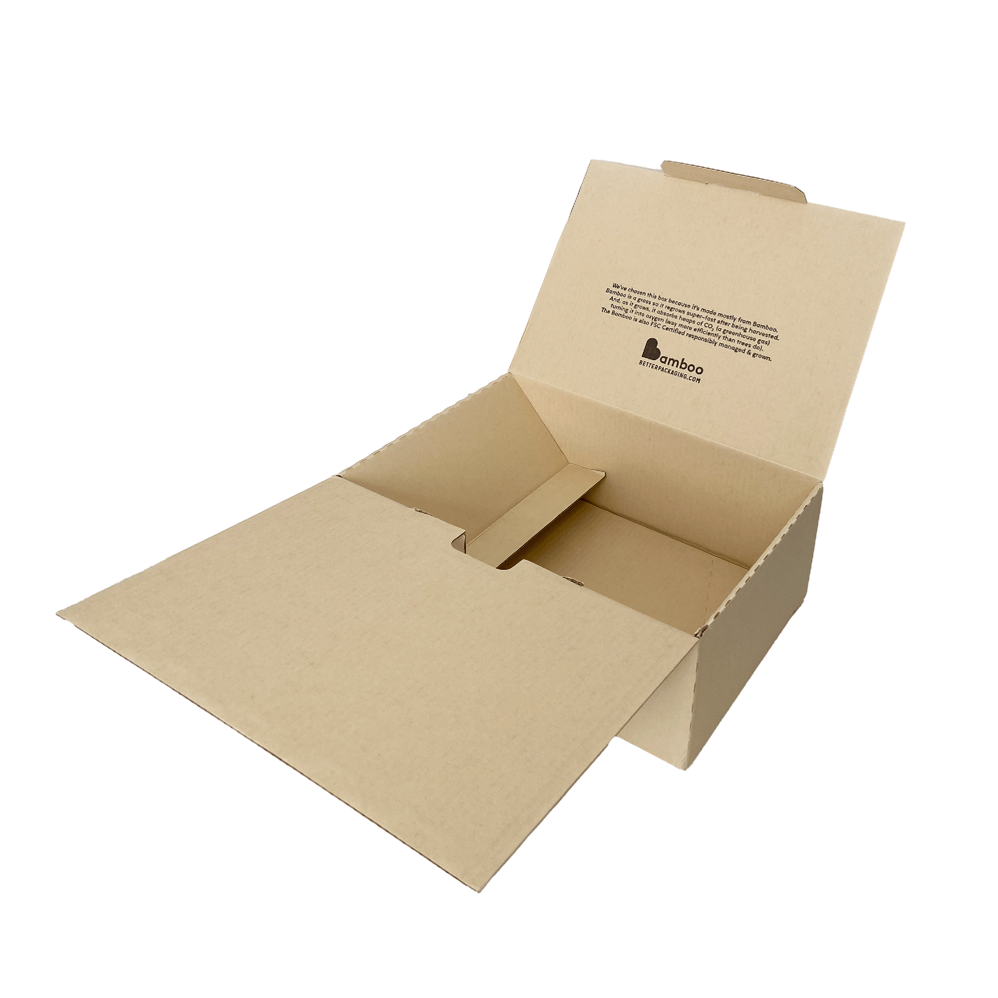 Crash Lock Mailer Boxes