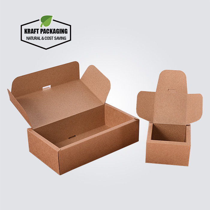 Flip Lid Food Boxes